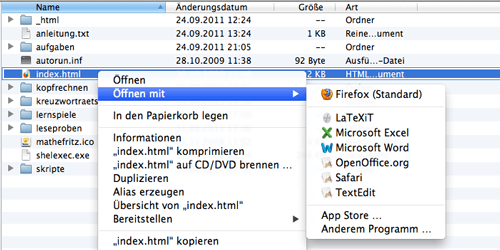 Index.Html der Mathefritz CD öffnen