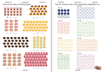 Multiplikation erkennen Aufgaben für die 2. Klasse